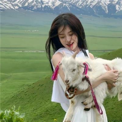 西格弗里德